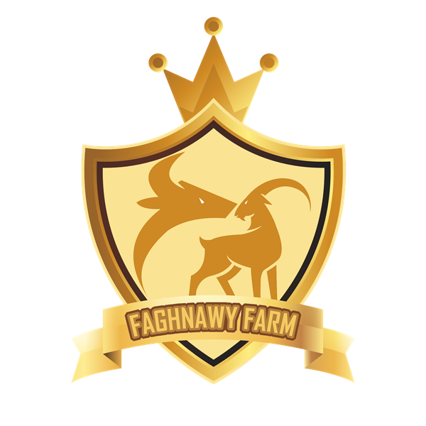 Logo Branding 8
